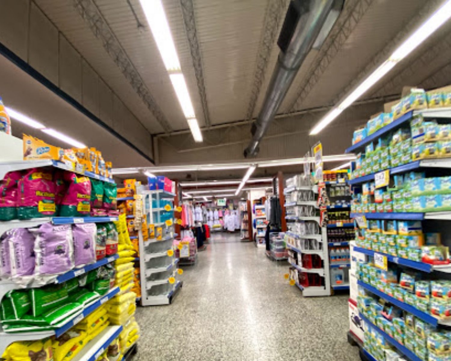 Captura de pantalla 2024-03-12 122557